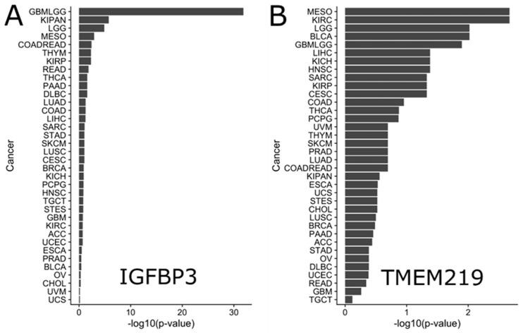 https://cdn.ncbi.nlm.nih.gov/pmc/blobs/72da/7290346/b107984436e7/cells-09-01261-g005.jpg