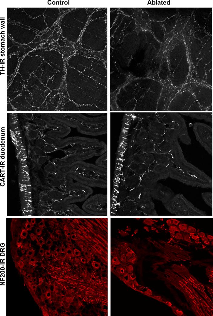 https://cdn.ncbi.nlm.nih.gov/pmc/blobs/72dc/5641637/16f634d956b4/figs1.jpg