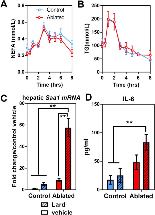 https://cdn.ncbi.nlm.nih.gov/pmc/blobs/72dc/5641637/181c4bc0f0c5/gr5.jpg
