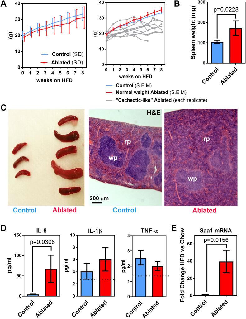 https://cdn.ncbi.nlm.nih.gov/pmc/blobs/72dc/5641637/73862a93d906/gr4.jpg