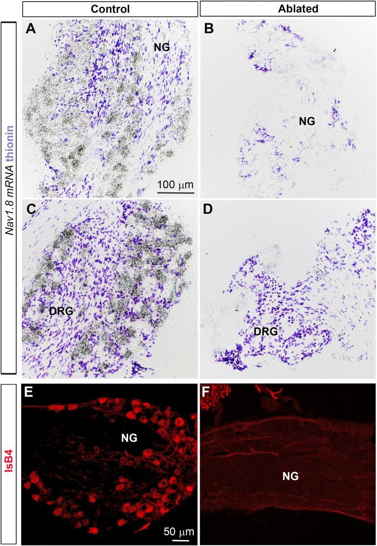 https://cdn.ncbi.nlm.nih.gov/pmc/blobs/72dc/5641637/a6484e3f41f6/gr1.jpg
