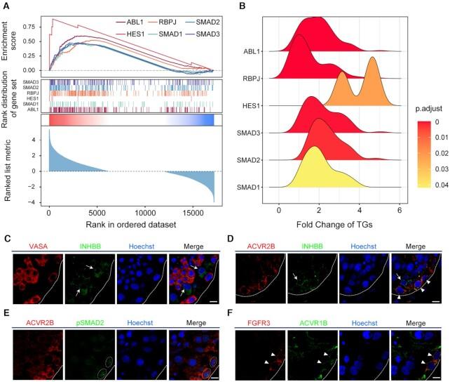 https://cdn.ncbi.nlm.nih.gov/pmc/blobs/72dc/8421219/a9b94fd67198/gkab638fig3.jpg