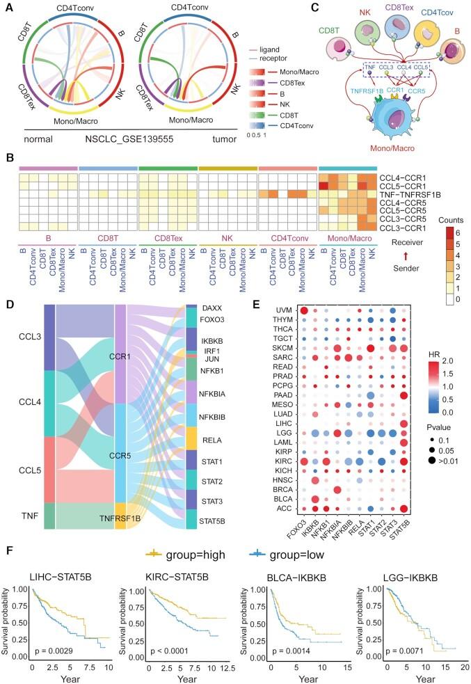 https://cdn.ncbi.nlm.nih.gov/pmc/blobs/72dc/8421219/ca780b9a0ee9/gkab638fig5.jpg