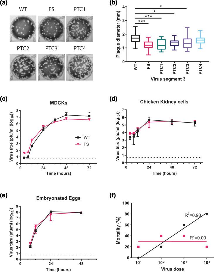 https://cdn.ncbi.nlm.nih.gov/pmc/blobs/72dd/8515854/453fb57b8cd1/jgv-102-1531-g003.jpg