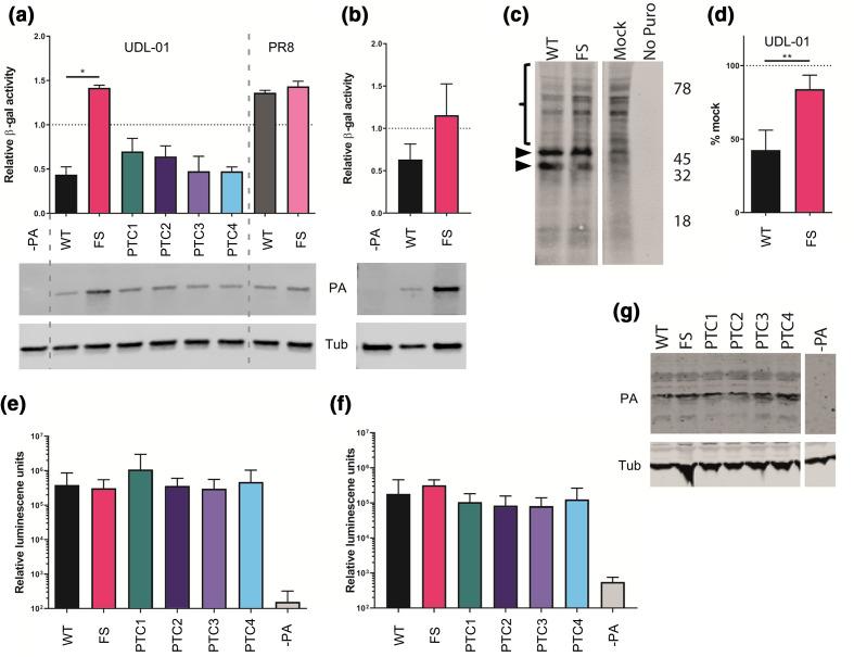https://cdn.ncbi.nlm.nih.gov/pmc/blobs/72dd/8515854/5e926a9f38e8/jgv-102-1531-g002.jpg