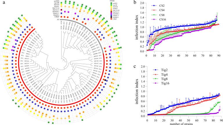 https://cdn.ncbi.nlm.nih.gov/pmc/blobs/72de/11406915/8152a2fa7d11/msystems.00607-24.f001.jpg
