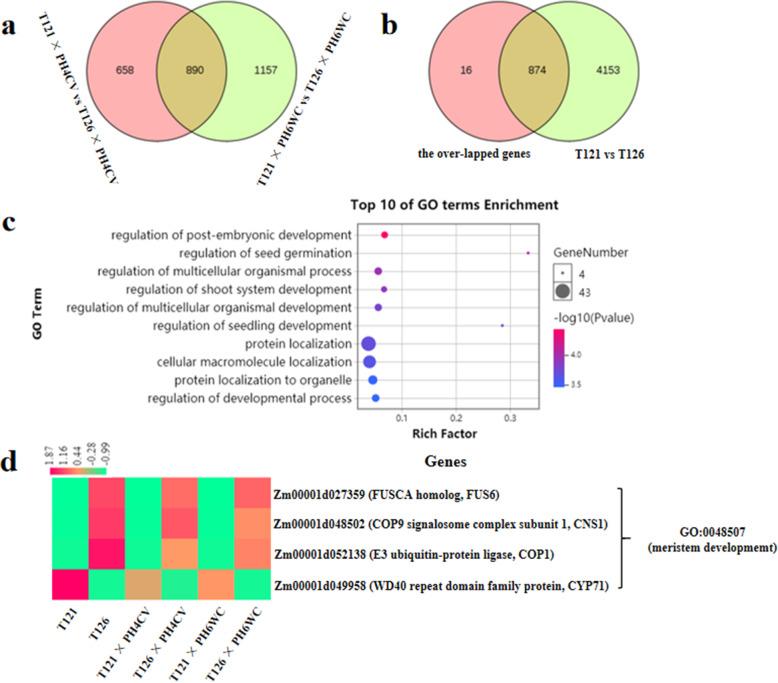 https://cdn.ncbi.nlm.nih.gov/pmc/blobs/72e0/7908659/6ec3f2af5d2e/12870_2021_2890_Fig3_HTML.jpg