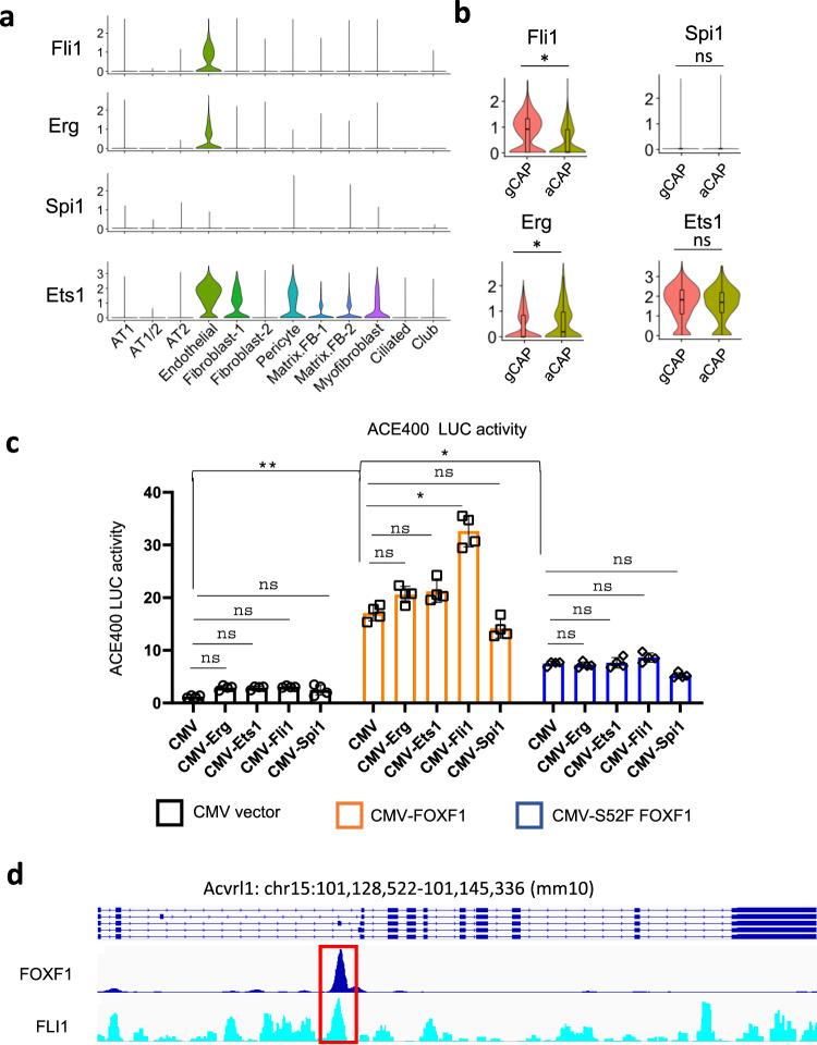https://cdn.ncbi.nlm.nih.gov/pmc/blobs/72e2/9019054/9cba9f273e27/41467_2022_29746_Fig6_HTML.jpg
