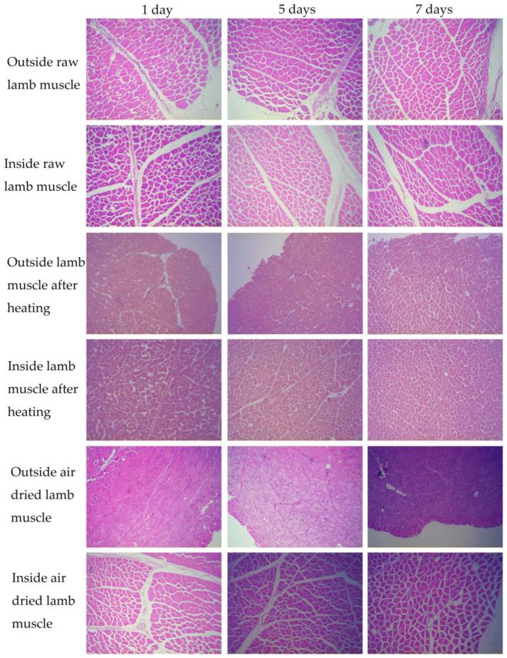 https://cdn.ncbi.nlm.nih.gov/pmc/blobs/72e3/9368109/a4b37ec7ada6/foods-11-02242-g001.jpg