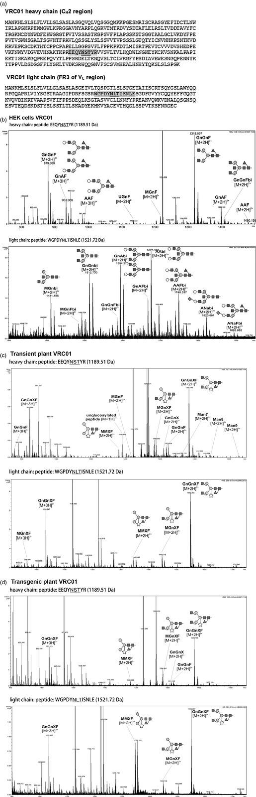 https://cdn.ncbi.nlm.nih.gov/pmc/blobs/72e4/4112721/9ec0addc5657/pbi-12-300-g02.jpg