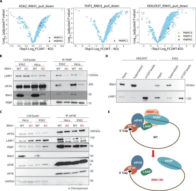 https://cdn.ncbi.nlm.nih.gov/pmc/blobs/72e5/11141627/c3b7b7caf718/sciadv.adl0320-f5.jpg
