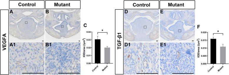 https://cdn.ncbi.nlm.nih.gov/pmc/blobs/72e6/12049047/60b2bec6a1d0/12903_2025_6059_Fig7_HTML.jpg