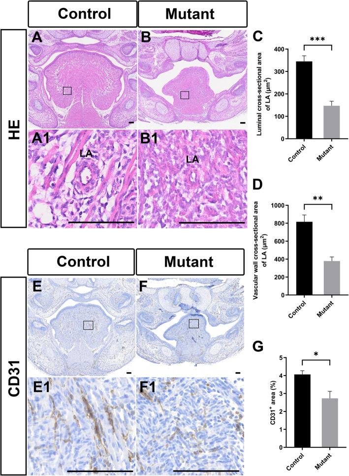https://cdn.ncbi.nlm.nih.gov/pmc/blobs/72e6/12049047/c5b247edbae6/12903_2025_6059_Fig6_HTML.jpg