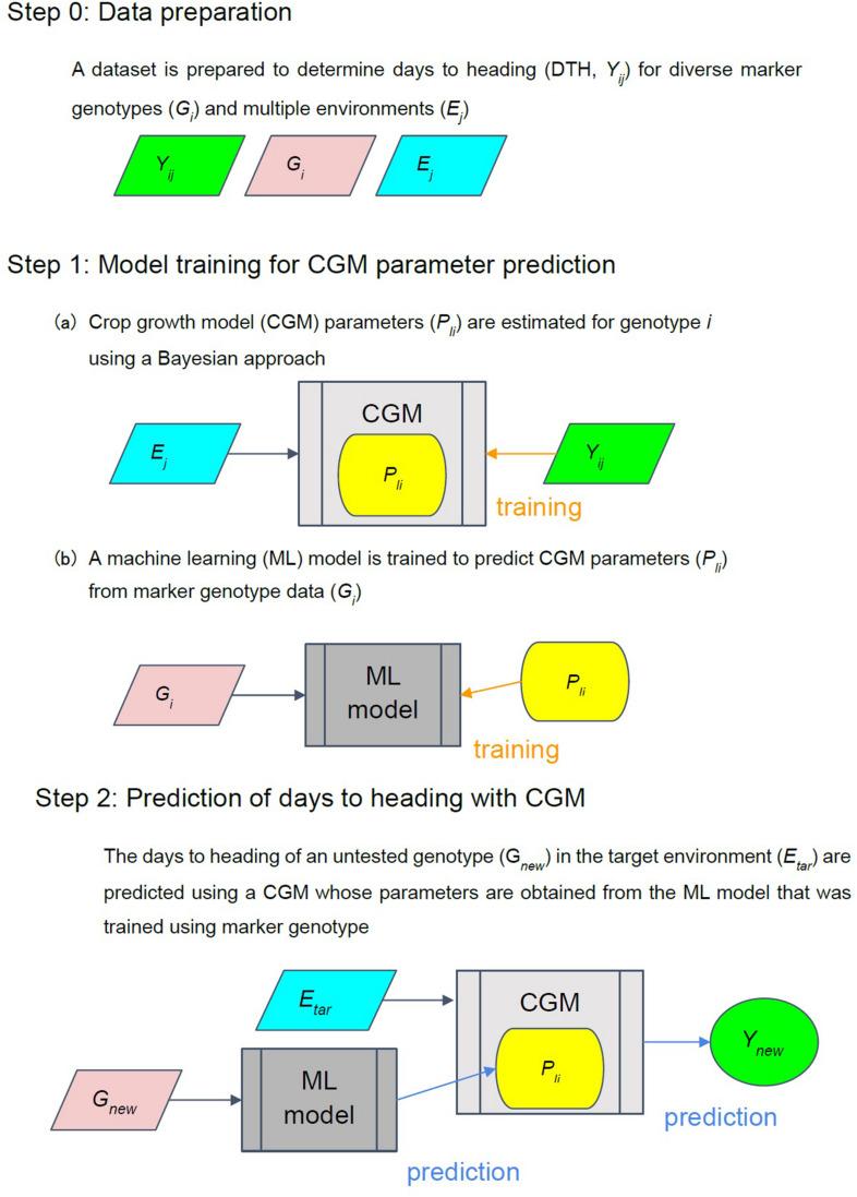 https://cdn.ncbi.nlm.nih.gov/pmc/blobs/72eb/7775545/569ed14dac6b/fgene-11-599510-g001.jpg