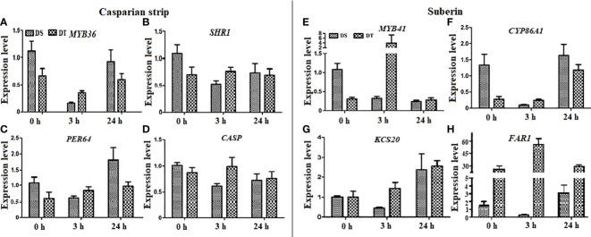 https://cdn.ncbi.nlm.nih.gov/pmc/blobs/72eb/9539332/fa242ca1abad/fpls-13-1007494-g007.jpg