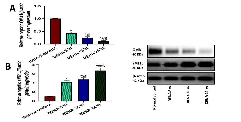 https://cdn.ncbi.nlm.nih.gov/pmc/blobs/72ee/10751866/21fc59745a3b/yjbm_96_4_443_g03.jpg