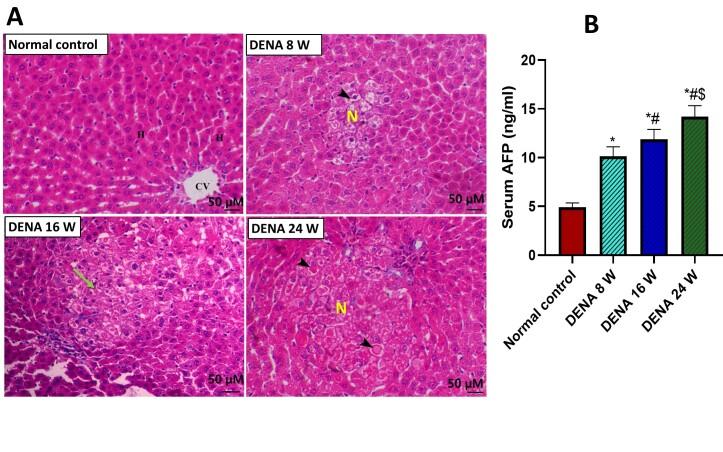 https://cdn.ncbi.nlm.nih.gov/pmc/blobs/72ee/10751866/aefaa3da857a/yjbm_96_4_443_g02.jpg
