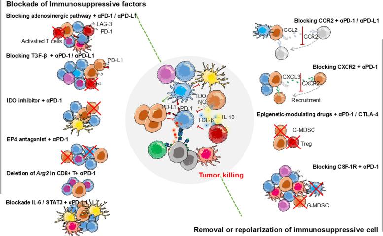 https://cdn.ncbi.nlm.nih.gov/pmc/blobs/72f0/11555832/5e4083dd12a3/12943_2024_2166_Fig7_HTML.jpg