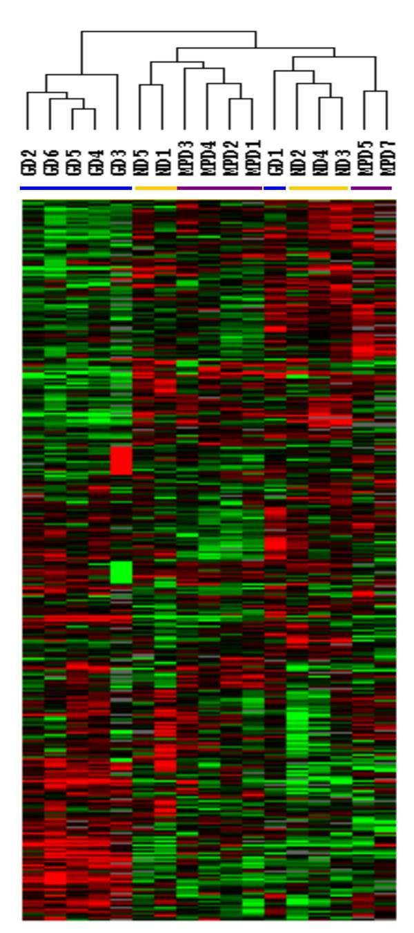 https://cdn.ncbi.nlm.nih.gov/pmc/blobs/72f0/2701925/273fff62fd17/1479-5876-7-39-1.jpg