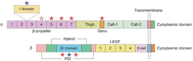 https://cdn.ncbi.nlm.nih.gov/pmc/blobs/72f1/11659783/1d25a470dbe2/ABBS-2024-208-t2.jpg