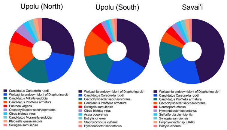 https://cdn.ncbi.nlm.nih.gov/pmc/blobs/72f1/12389512/27312dbb0e9e/pathogens-14-00801-g008.jpg