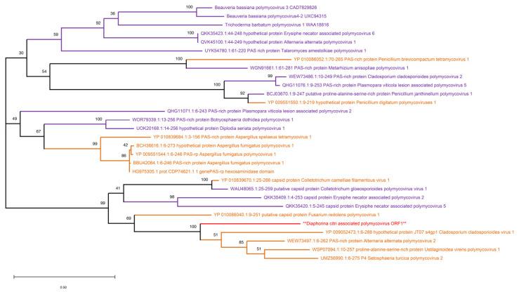 https://cdn.ncbi.nlm.nih.gov/pmc/blobs/72f1/12389512/d9156f4d6470/pathogens-14-00801-g007.jpg
