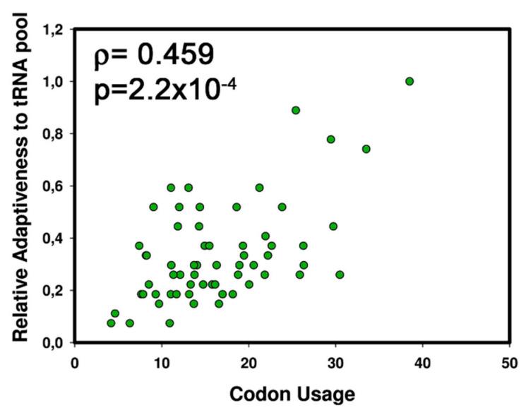 https://cdn.ncbi.nlm.nih.gov/pmc/blobs/72f1/7588917/e54431dd8e1c/genes-11-01227-g002.jpg