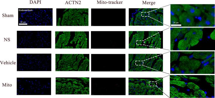 https://cdn.ncbi.nlm.nih.gov/pmc/blobs/72f7/11984951/2649eea91f84/elife-98554-fig4.jpg