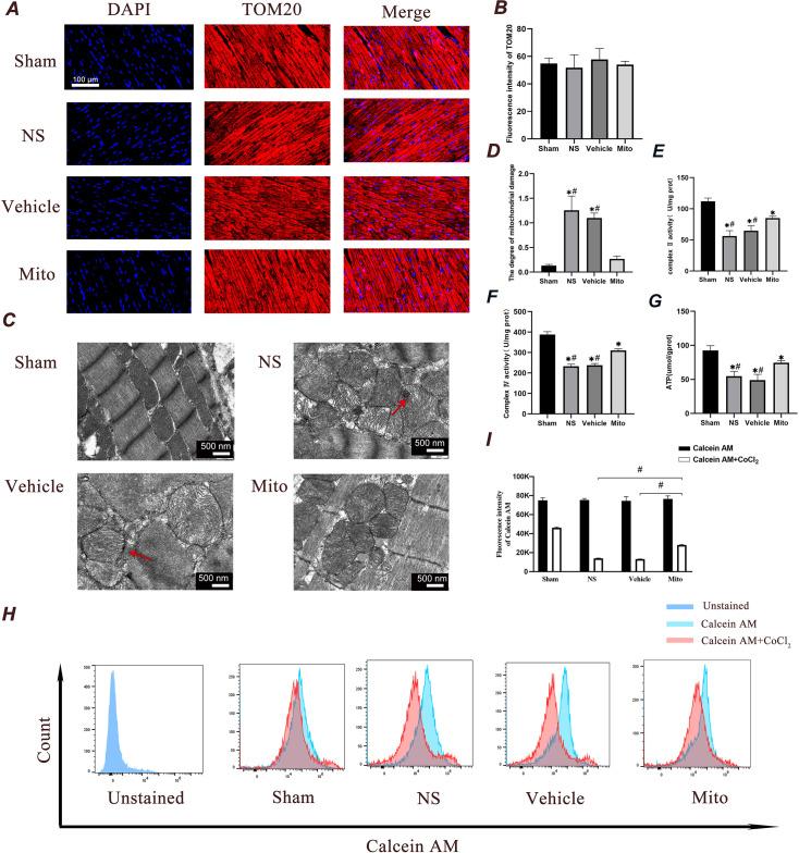 https://cdn.ncbi.nlm.nih.gov/pmc/blobs/72f7/11984951/60af2fa6c2c0/elife-98554-fig5.jpg