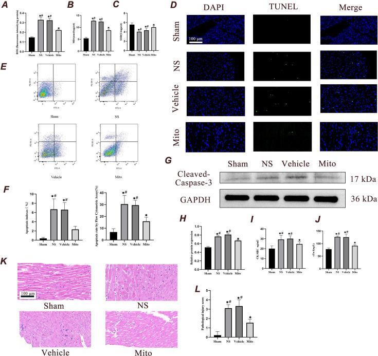 https://cdn.ncbi.nlm.nih.gov/pmc/blobs/72f7/11984951/c479bd0fd7af/elife-98554-fig6.jpg