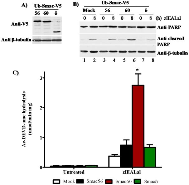 https://cdn.ncbi.nlm.nih.gov/pmc/blobs/72f7/2948501/92749c8be903/pone.0013094.g003.jpg