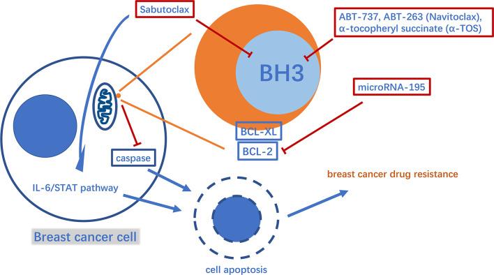 https://cdn.ncbi.nlm.nih.gov/pmc/blobs/72f7/8013997/17088cc6f1f9/fonc-11-629614-g002.jpg