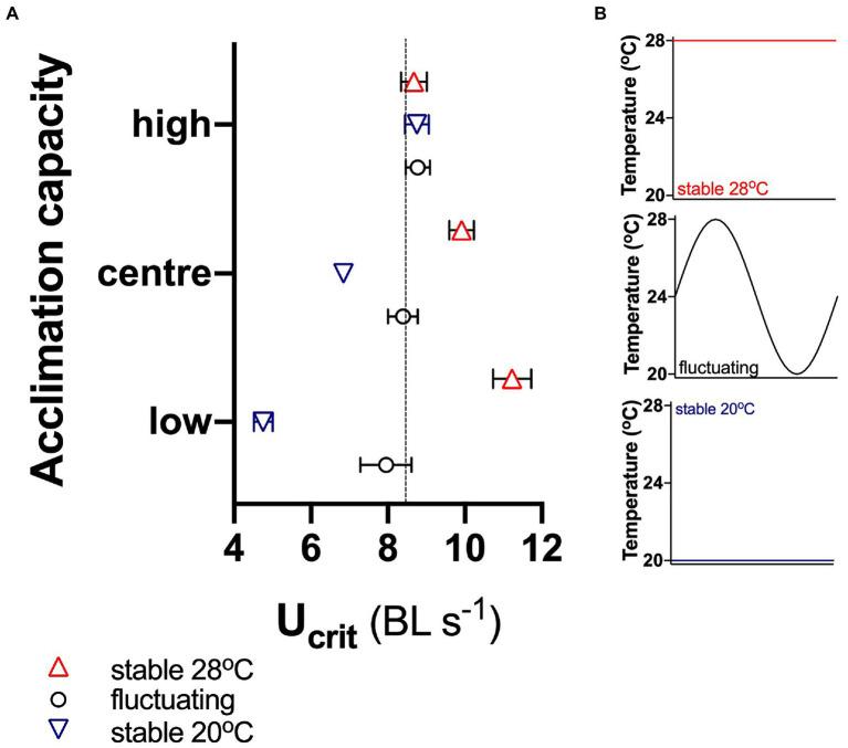 https://cdn.ncbi.nlm.nih.gov/pmc/blobs/72f8/8513571/ed195c41af31/fphys-12-733305-g005.jpg