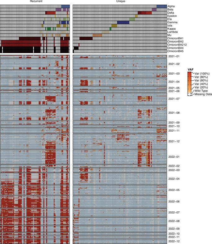 https://cdn.ncbi.nlm.nih.gov/pmc/blobs/72f9/11436780/a84edec24a98/41467_2024_52427_Fig2_HTML.jpg