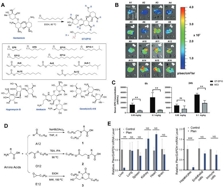 https://cdn.ncbi.nlm.nih.gov/pmc/blobs/72fa/10465230/a10394c1a142/thnov13p4667g003.jpg