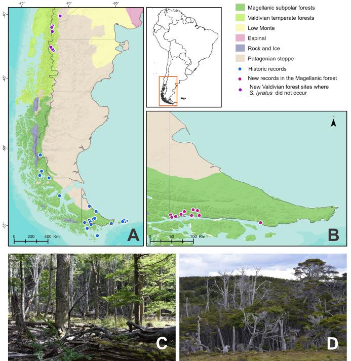 https://cdn.ncbi.nlm.nih.gov/pmc/blobs/72fa/8265385/d910f7203037/peerj-09-11614-g001.jpg