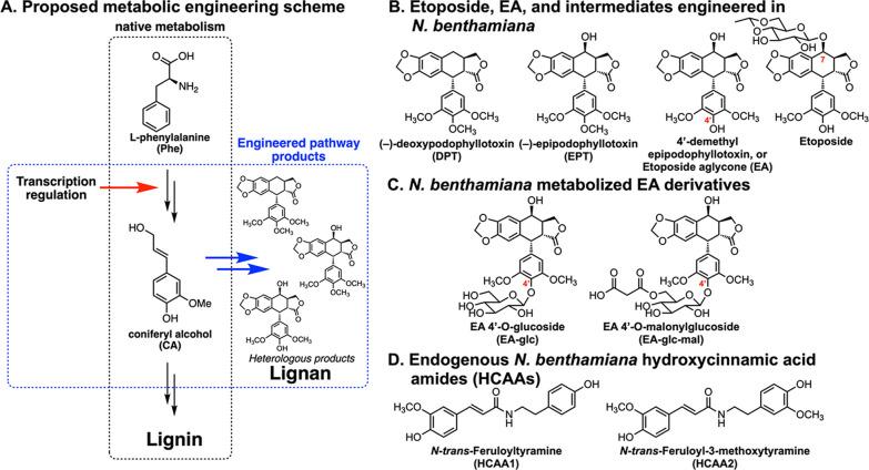 https://cdn.ncbi.nlm.nih.gov/pmc/blobs/72fc/9594330/ac52f15b7e74/sb2c00289_0002.jpg