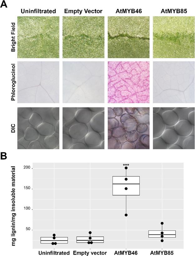 https://cdn.ncbi.nlm.nih.gov/pmc/blobs/72fc/9594330/d724db868097/sb2c00289_0005.jpg