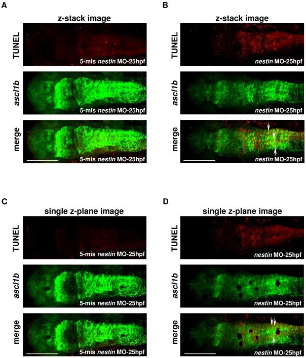 https://cdn.ncbi.nlm.nih.gov/pmc/blobs/72fd/2824827/c2923aa69b31/pone.0009318.g008.jpg