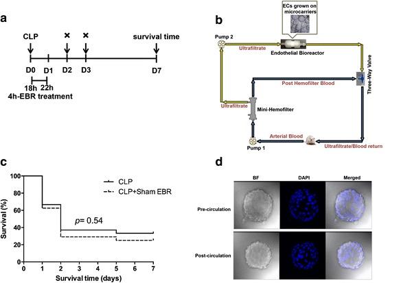https://cdn.ncbi.nlm.nih.gov/pmc/blobs/7306/4958089/b37f8915da63/40635_2016_97_Fig1_HTML.jpg