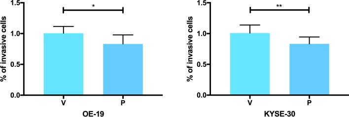 https://cdn.ncbi.nlm.nih.gov/pmc/blobs/7309/11297794/df545870864c/13148_2024_1700_Fig6_HTML.jpg