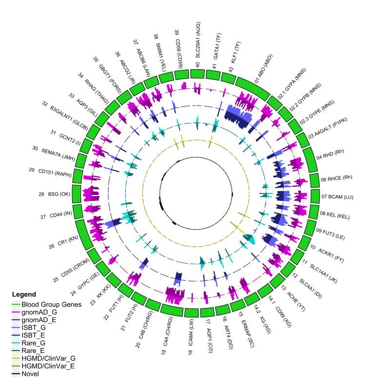 https://cdn.ncbi.nlm.nih.gov/pmc/blobs/730b/11576151/d1d609520303/BLT-22-464_g002.jpg