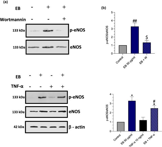 https://cdn.ncbi.nlm.nih.gov/pmc/blobs/730c/10345675/0bc0f76a7841/FSN3-11-4047-g004.jpg