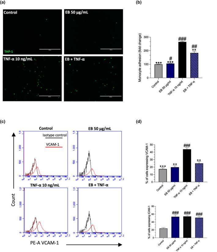 https://cdn.ncbi.nlm.nih.gov/pmc/blobs/730c/10345675/d6ec66798116/FSN3-11-4047-g006.jpg