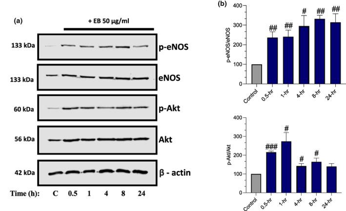 https://cdn.ncbi.nlm.nih.gov/pmc/blobs/730c/10345675/e16ea3a3d4f0/FSN3-11-4047-g005.jpg