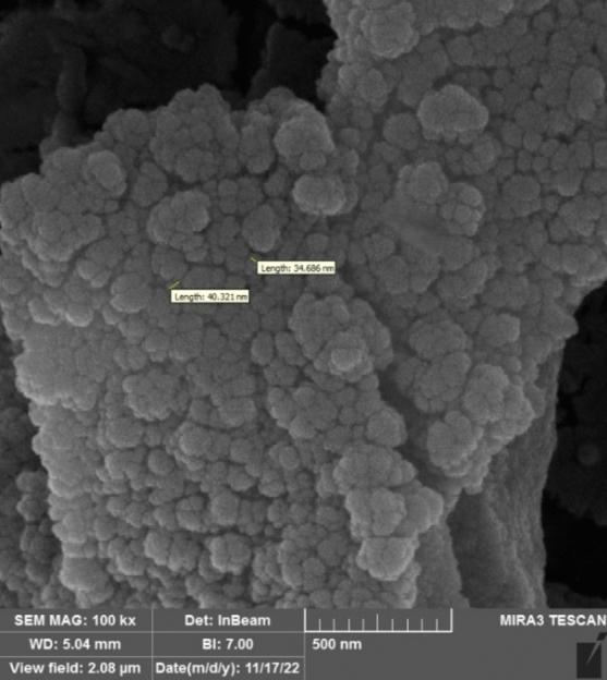 https://cdn.ncbi.nlm.nih.gov/pmc/blobs/730c/11436878/6cd488962bab/41598_2024_71946_Fig4_HTML.jpg