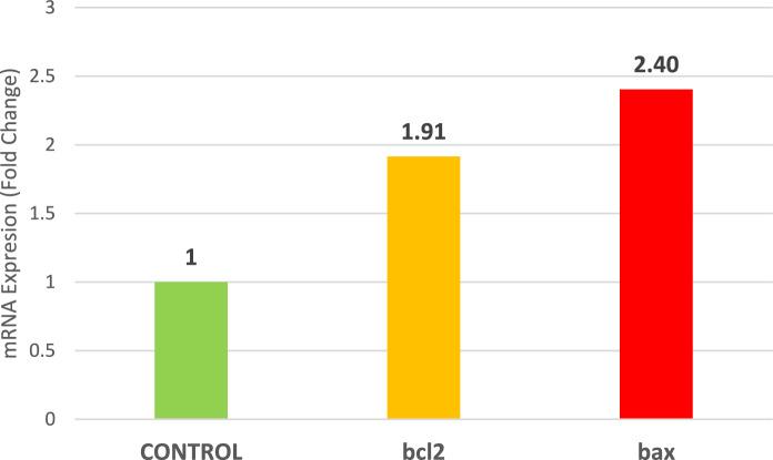 https://cdn.ncbi.nlm.nih.gov/pmc/blobs/730c/11436878/7efb5b191c86/41598_2024_71946_Fig12_HTML.jpg
