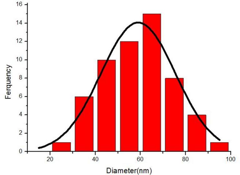 https://cdn.ncbi.nlm.nih.gov/pmc/blobs/730c/11436878/be92485c5dbe/41598_2024_71946_Fig5_HTML.jpg