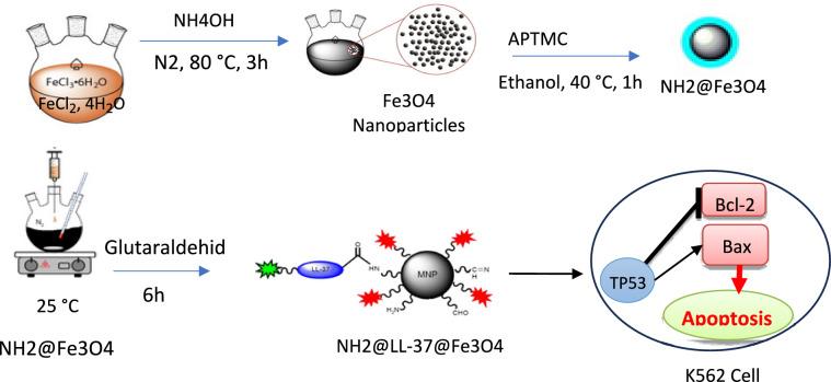 https://cdn.ncbi.nlm.nih.gov/pmc/blobs/730c/11436878/d8eac60e4678/41598_2024_71946_Fig1_HTML.jpg