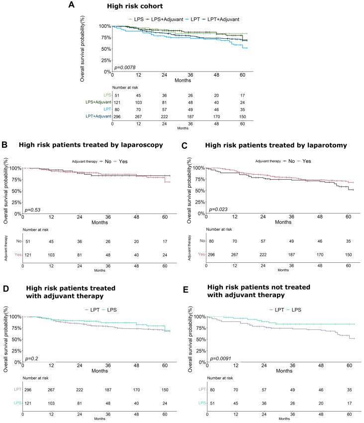 https://cdn.ncbi.nlm.nih.gov/pmc/blobs/730c/12248672/c83cfee6b9d3/cancers-17-02261-g006.jpg